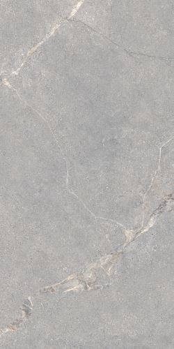 Dlažba Anthology gray rouch