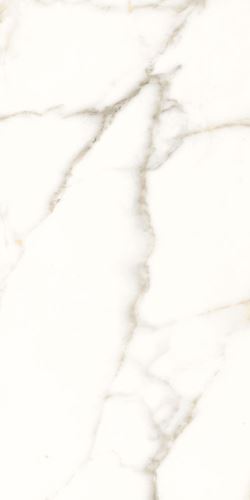 Dlažba Trilogy calacatta white soft 30x60 cm