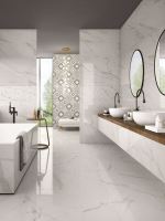 Dlažba Trilogy calacatta white lux 60x60 cm (1)