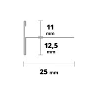 SP21 schodová lišta T, STEP (2)